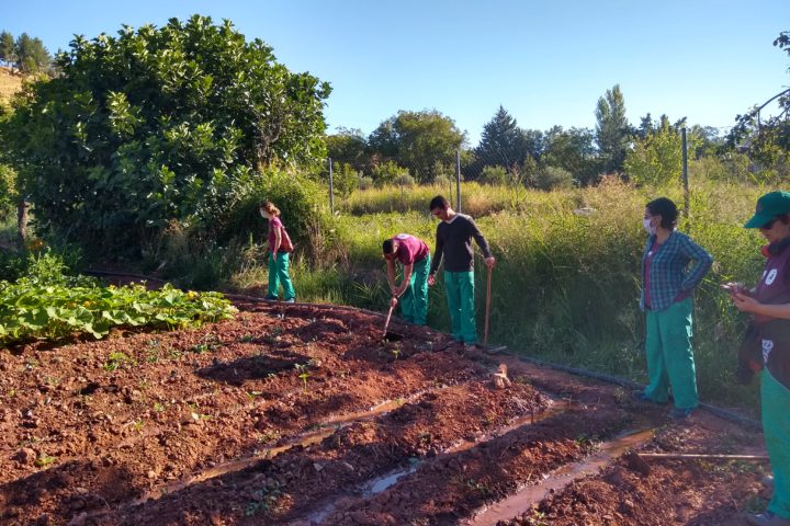 Germina Empleo · Llanero Solidario